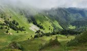 Tocht Stappen Ferrère - montagne d'Areng depuis la piste forestière après Férrères - Photo 7