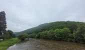 Tocht Stappen Vresse-sur-Semois - rando vresse sur semois 2-06-2024 - Photo 19