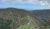 Tocht Stappen Santa Brígida - Cratère de Bandama (Gran Canaria) - Photo 1