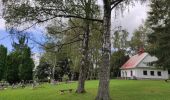 Tour Zu Fuß Schwarzbach - Naučná stezka Trasa A - Photo 2