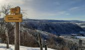 Tour Schneeschuhwandern Foncine-le-Haut - Foncine le Haut Le Bayard 12km 20200119 - Photo 1