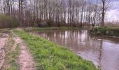 Trail Walking Haacht - Wespelaar - Leuven 22 km - Photo 8