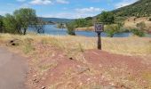 Trail Walking Le Puech - Les Vailhes-Celles - Photo 3