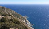 Trail Walking La Seyne-sur-Mer - Le Cap Sicié, sentier du littoral - Photo 9