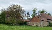 Tour Wandern Gerpinnes - Gerpinnes GR129 Tarcienne Hanzinne Fromiée  - Photo 18