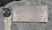 Tour Wandern Signes - Siou Blanc - Éléphant de Pierre - Aiguilles de Valbelle - Photo 2