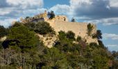 Trail Walking Rocbaron - SityTrail - rocbaron   victor - Photo 15