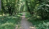 Trail Walking Ciney - Serinchamps 180522 - Photo 5