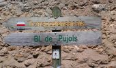 Trail On foot Pujols-sur-Ciron - Pujols-sur-Ciron : boucle locale - Photo 1