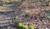 Tocht Stappen Saint-Ouen-le-Brisoult - Les Gorges de Villiers - Photo 2