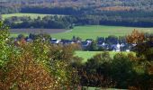 Tour Zu Fuß Mengerschied - Traumschleife Soonwald - Photo 3