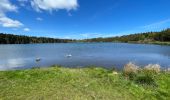 Excursión Senderismo Orcival - Lac de Servières - Photo 1