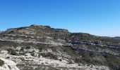 Tour Wandern Allauch - la treille le gros hibou par tête rouge - Photo 6