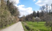 Trail Walking Aywaille - aywaille - martinrive a/r de part et d autre de l ambleve  - Photo 1