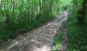 Tocht Stappen Saint-Sauveur-sur-École - Saint-Sauveur - Photo 1