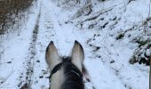 Trail Horseback riding Neufchâteau - Hamipré Croix de l’homme par LuxGreen - Photo 1