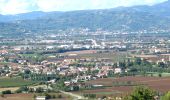 Percorso A piedi Brendola - Sentiero di San Vito e delle fontane - Photo 2