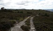 Excursión Senderismo Le Béage - suc des Chartreux partie 1 - Photo 2