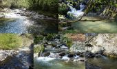 Tour Wandern Saint-Jean-d'Arvey - Remontée de la Leysse-2021-04-22 - Photo 9