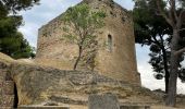 Tocht Stappen Vaugines - PF-Vaugines - Cucuron - l'Ermitage - Vaugines - 17.06.2021 - Photo 13