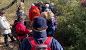 Trail Walking Vernègues - PF-Vernègues - Boucle dans le passé antique de Vernègues - Photo 3