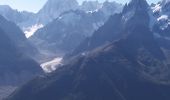 Excursión Senderismo Chamonix-Mont-Blanc - MASSIF DU MONT BLANC: INDEX-LAC BLANC-FLEGERE - Photo 17