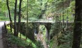Trail On foot Ledro - Senter de Croina - Photo 8