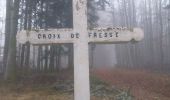 Randonnée Marche Fresse-sur-Moselle - Croix de Fresse - Vosges - France - Photo 8