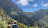 Randonnée Marche Serra de Água - Pico Grande - Photo 4