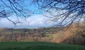 Trail Walking Theux - st roch . wayai . ru chawion . chêne de la vierge . chêne de polleur . hoegne .  sasserotte . château de franchimont  - Photo 12