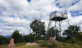 Tour Wandern Kestenholz - Le Hahnenberg et les balcons de Sélestat - Photo 15