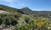 Trail Walking Tautavel - Tautavel. Tour del far  - Photo 2