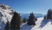Excursión Raquetas de nieve Plateau-des-Petites-Roches - Pravouta 2022 - Photo 4