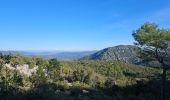 Excursión Senderismo Signes - Montée vers le plateau de la Limatte en partant de Signes  - Photo 19