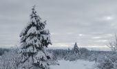 Tocht Stappen Malmedy - Tro Maret-les Six Hetres-Bernister - Photo 8