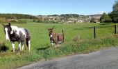 Tocht Stappen Pradelles - Stevenson Pradelles - Le Cheylard l'Evèque - Photo 1