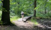 Tour Wandern Ohey - Variante petit pont bois d’Ohey - Photo 1