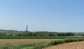 Randonnée Marche Braine-le-Comte - GRP127 : De Hennuyères à Nivelles - Photo 11
