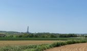 Tour Wandern Braine-le-Comte - GRP127 : De Hennuyères à Nivelles - Photo 11