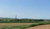 Trail Walking Braine-le-Comte - GRP127 : De Hennuyères à Nivelles - Photo 11