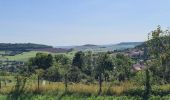 Tocht Stappen Bouxières-aux-Chênes - bouxieres aux chênes - Blanzey - Photo 18