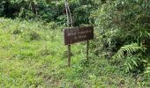 Excursión Ruta Sainte-Marie - Raid bèlè -  - Photo 2