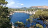 Tocht Stappen Cassis - Port pin & Trou souffleur  - Photo 1