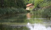 Tour Zu Fuß Burgthann - Burgthann - Photo 8