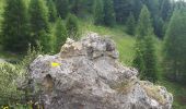 Trail Walking Beuil - Tête de Pommier Baisse de Clari les Cluots Giarons par Pinea - Photo 10