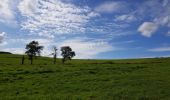 Trail Walking Seneffe - Feluy 0921 - Photo 1