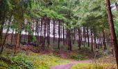 Trail Walking Theux - Le sentier de l’Ourlaine    - Photo 3