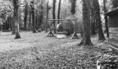 Tour Elektrofahrrad Saint-Clément - sortie vtt 06112022 Roville aux chênes  - Photo 6