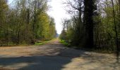 Tour Wandern Rethondes - en forêt de Laigue_1_le Grand Octogone - Photo 10