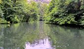 Trail Walking Vins-sur-Caramy - SityTrail - Vins sur Carami, lac de Carcès - Photo 3
